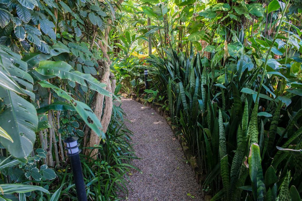 Pousada Verde Natur Florianópolis Zewnętrze zdjęcie